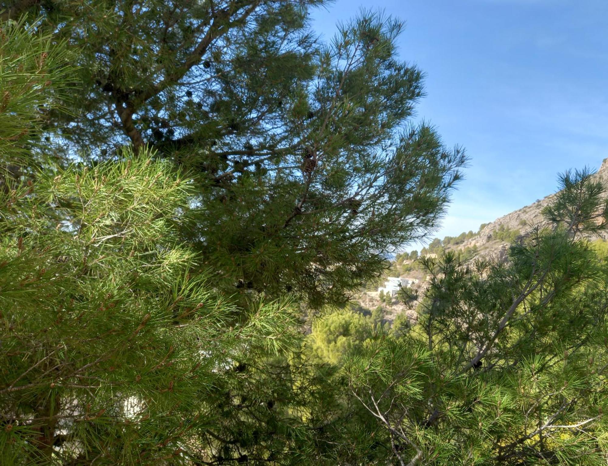 Vila Townhouse Altea Hills Exteriér fotografie